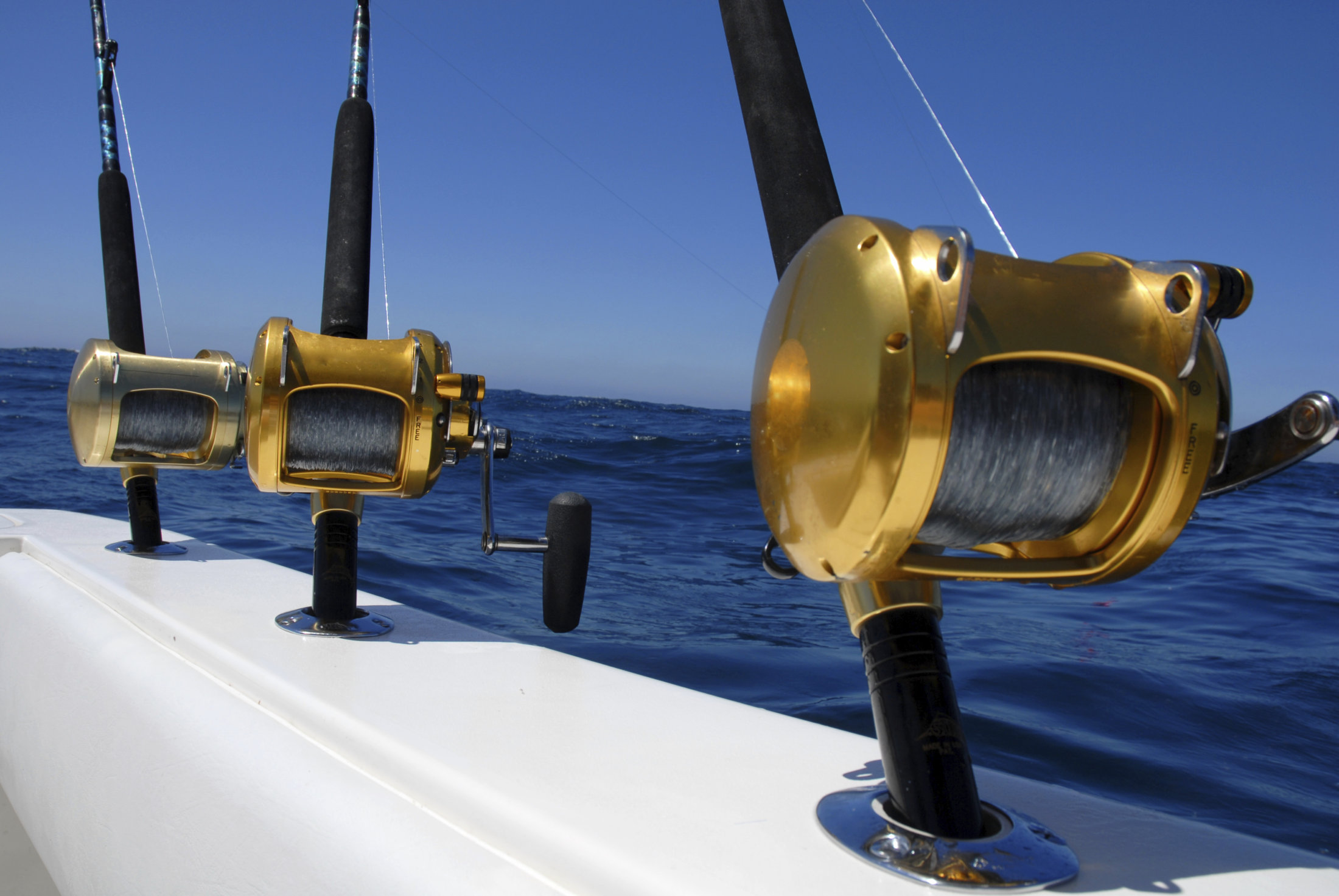 Fishing Excursion