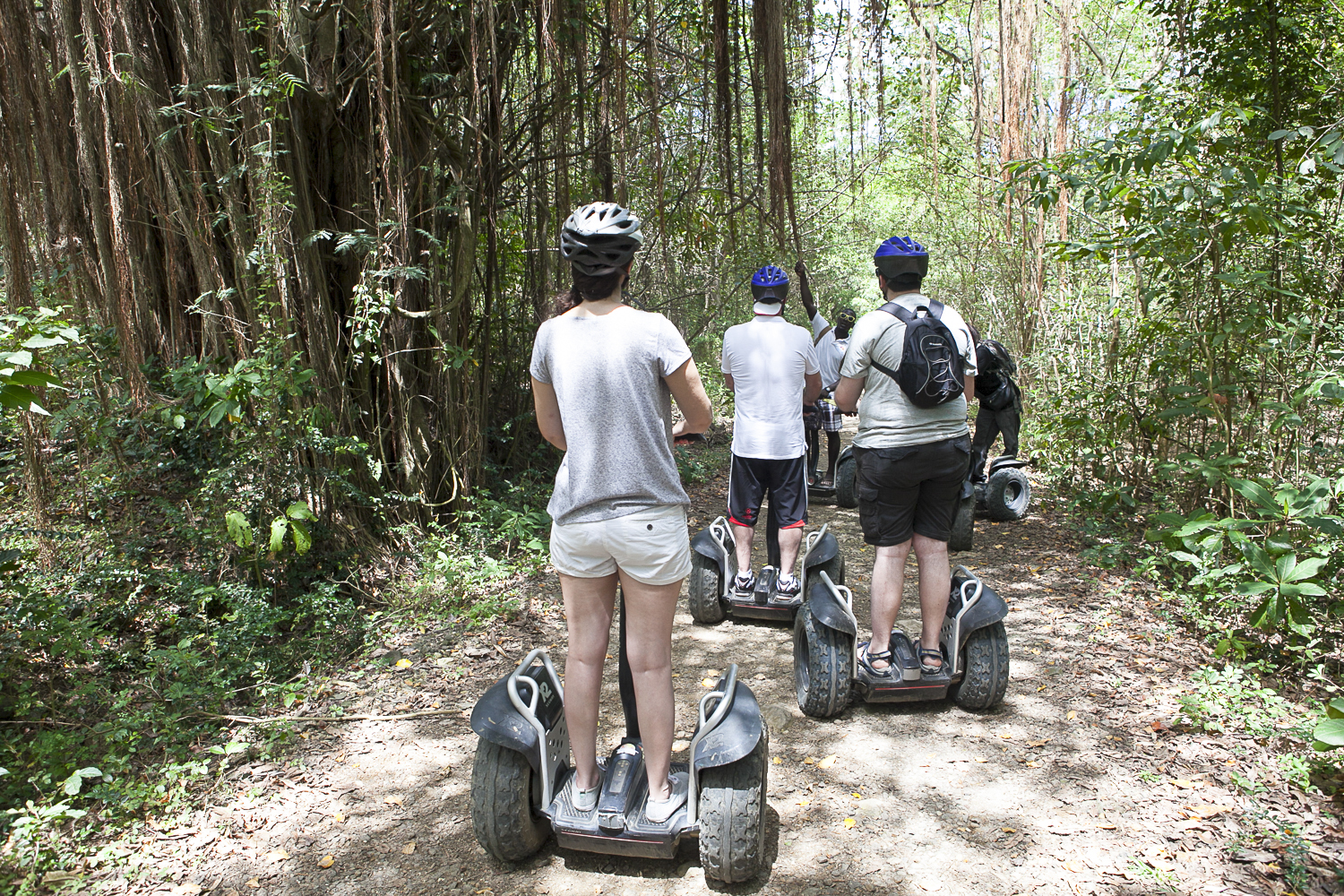 Jungle Segway