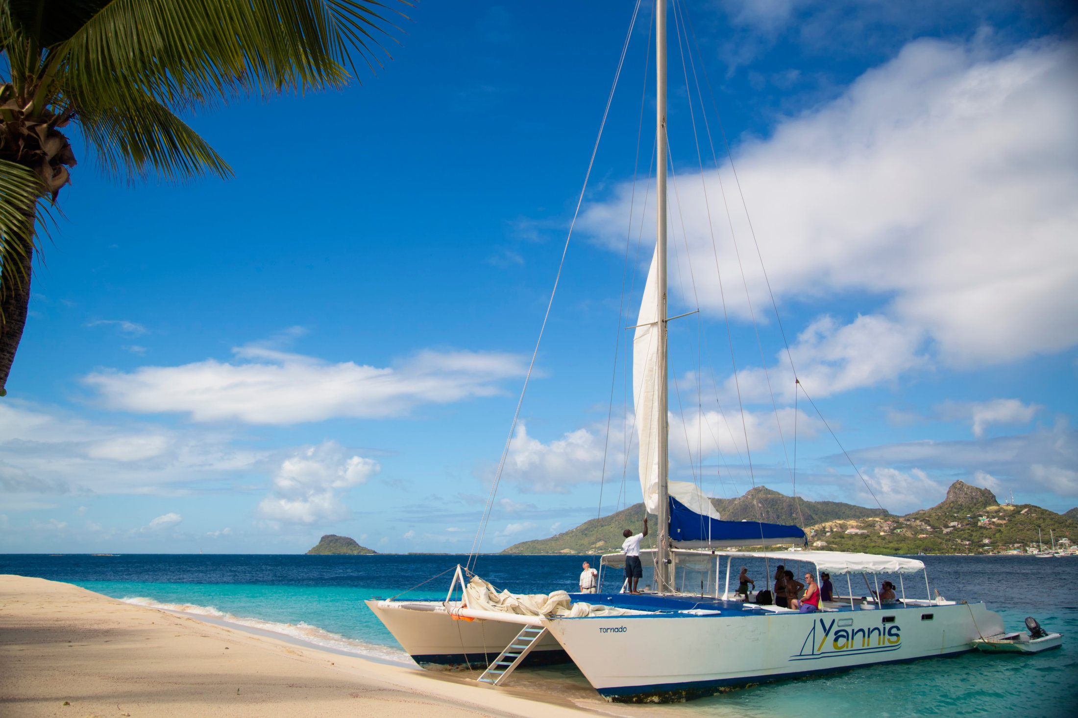 THE GRENADINES